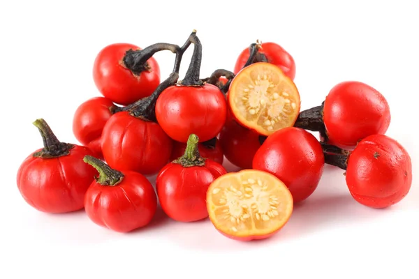 Berenjena Etíope Berenjena Africana Solanum Aethiopicum Tomate Amargo Nakati — Foto de Stock