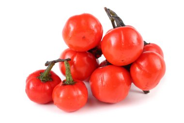 Etiyopya patlıcan (Afrika patlıcan, Solanum aethiopicum, acı domates, nakati)