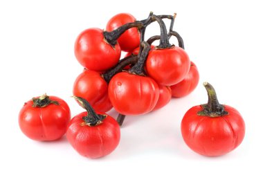 Etiyopya patlıcan (Afrika patlıcan, Solanum aethiopicum, acı domates, nakati)