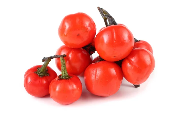 Melanzane Etiopi Melanzane Africane Solanum Aethiopicum Pomodoro Amaro Nakati — Foto Stock