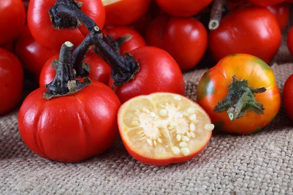 Berenjena Etíope Berenjena Africana Solanum Aethiopicum Tomate Amargo Nakati Ensacado Imagen De Stock