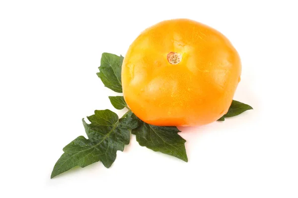 Yellow Tomatoe Isolated White — Stock Photo, Image