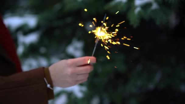 Bengaliskt ljus eller gnistrande flimmer lyser i kvinnans hand. Julgranar i snön på bakgrunden — Stockvideo