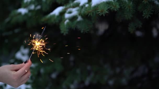 Bengal light or sparkler flickerings lights in the woman hand. Christmas trees in the snow on the background — Stock Video