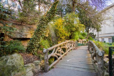 Paris mimari, cadde ve park ilkbahar, sakura çiçeği şehir içinde
