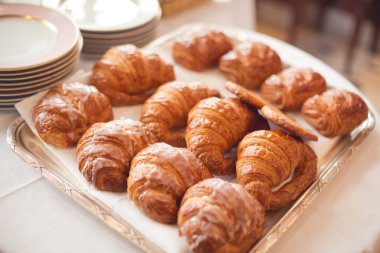 Paris mimari, cadde ve park ilkbahar, sakura çiçeği şehir içinde