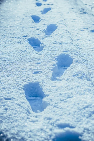 footprints in winter snow