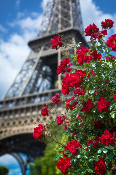 Eiffeltoren in Parijs — Stockfoto