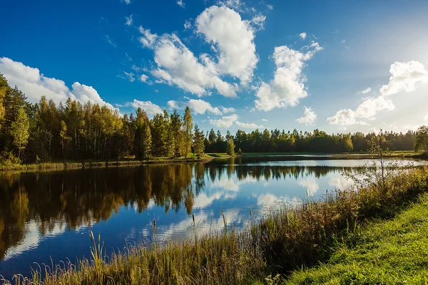 Természet Észak-Észtországban — Stock Fotó