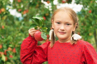 Sevimli küçük sarışın kız erken sonbaharda elma meyve bahçesinde oynarken