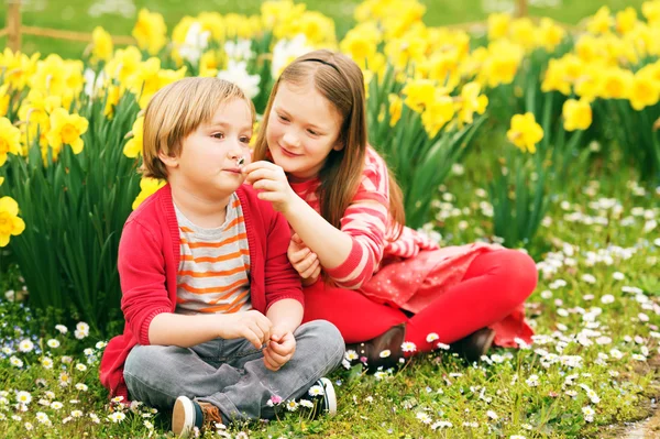Dois meninos bonitos, menino e sua irmã mais velha, brincando no parque entre flores amarelas narcisos, vestindo roupas vermelhas brilhantes — Fotografia de Stock