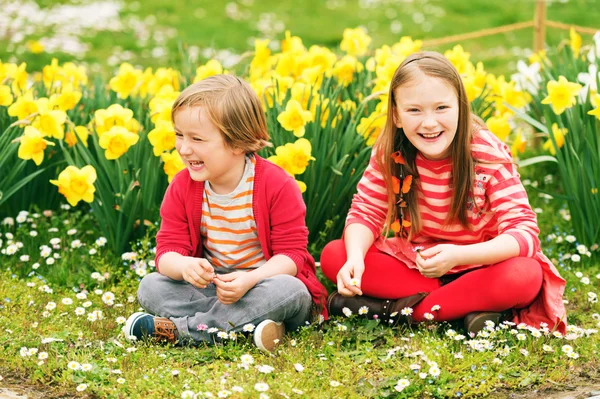 Two cute kids, little boy and his big sister, playing in the park between yellow daffodils flowers, wearing bright red clothes — Stock Photo, Image