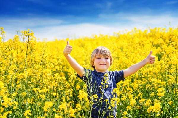 Retrato ao ar livre de um menino bonito brincando com flores em um campo — Fotografia de Stock