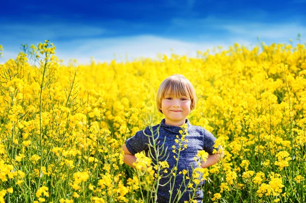 Retrato ao ar livre de um menino bonito brincando com flores em um campo — Fotografia de Stock