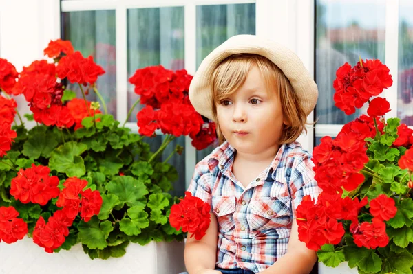 Adorable little boy gardener sitting between bright red geranium — Stock Photo, Image