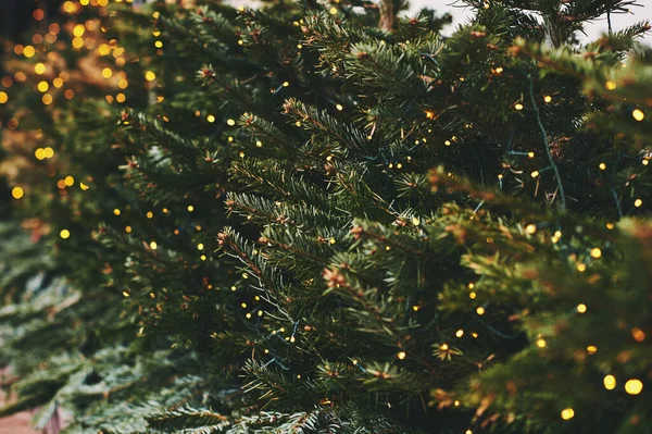 Julgransgrenar Med Glödande Ljus Utomhus Vinter Festlig Dekoration — Stockfoto