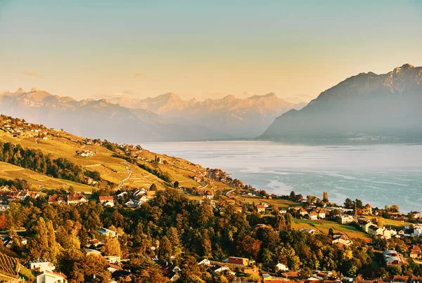 Jesienny Krajobraz Jeziora Genewskiego Lavaux Winnice Szwajcaria — Zdjęcie stockowe