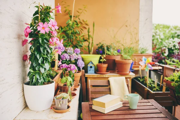 Przytulny Letni Balkon Wielu Roślin Doniczkowych Herbatę Stare Książki Vintage — Zdjęcie stockowe