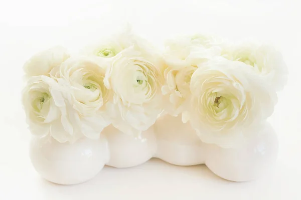 Beautiful White Buttercup Flowers Vase White Background — Zdjęcie stockowe