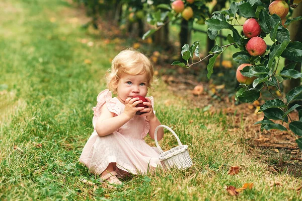 Adorabile Bambina Che Gioca Nel Frutteto Tenendo Mela Cibo Sano — Foto Stock