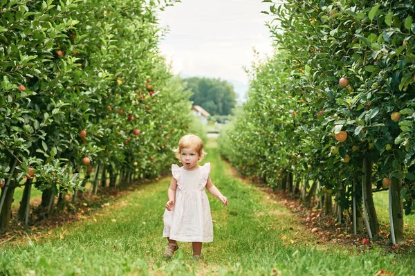 Adorable Toddler Girl Playing Apple Orchard Healthy Food Children — Stock Photo, Image