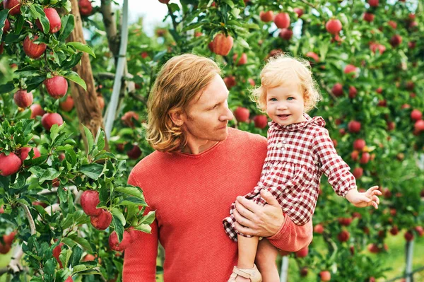 Venkovní Portrét Pohledného Mladého Otce Roztomilou Batolatou Dívkou Sklízející Jablka — Stock fotografie