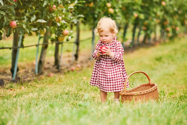 Bedårande Småbarn Flicka Som Leker Fruktträdgård Håller Äpple Hälsosam Mat — Stockfoto