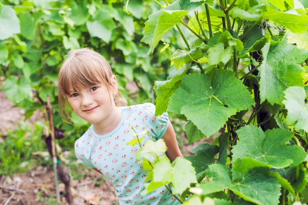 Portrait d'été d'une jolie petite fille dans un vignoble — Photo