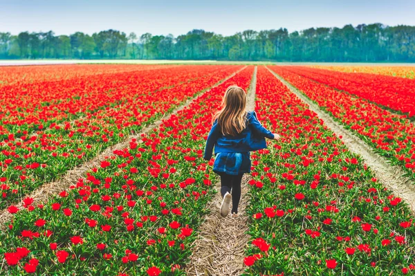 Симпатична маленька дівчинка грає в тюльпановому полі — стокове фото