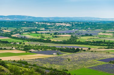 Lavanta provence, Fransa hava alanları