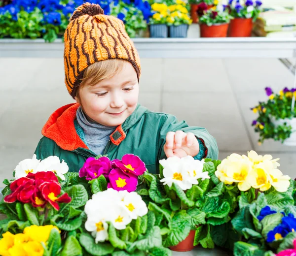 Bébé mignon garçon choisir des fleurs dans un magasin de fleurs sur une belle journée de printemps — Photo