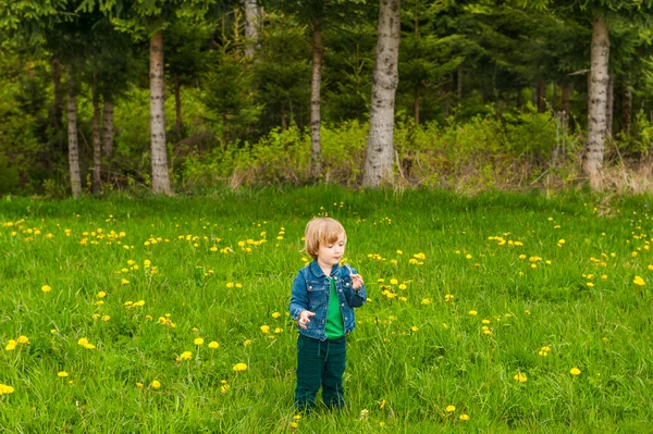 Retrato al aire libre de un niño lindo en un bosque — Foto de Stock