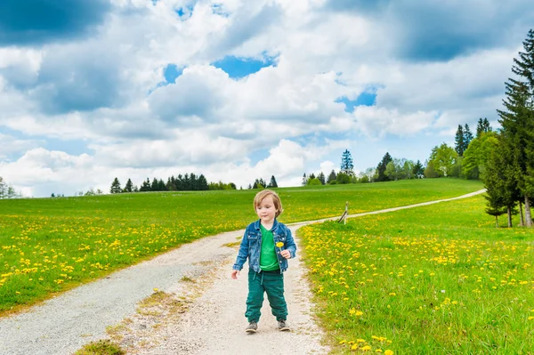 Cute toddler boy in a forest — Stock Photo, Image