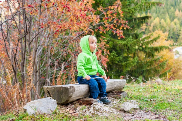 Schattig peuter jongen rusten in een forest, dragen jeans en groene hoodie — Stockfoto