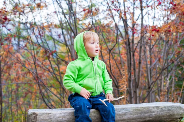 Bir ormanda, dinlenme şirin yürümeye başlayan çocuk kot pantolon ve yeşil kapüşonlu giyiyor