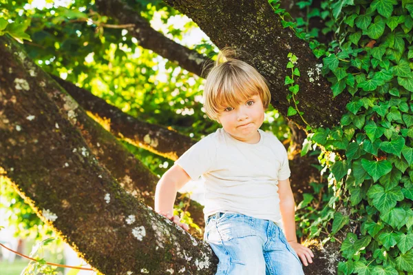 Ładny toddler chłopiec bawi na drzewie na miły letni wieczór — Zdjęcie stockowe