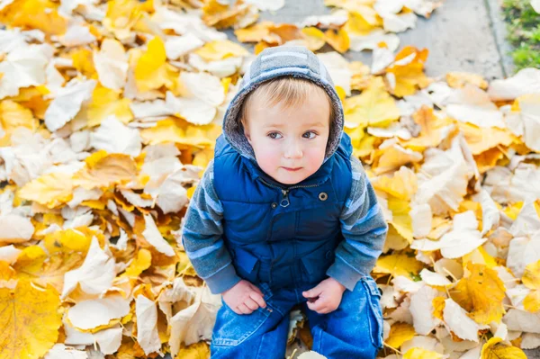 Herfst portret van een schattige peuter jongen — Stockfoto