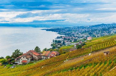 Lavaux üzüm bağları ve Cenevre Gölü, güzel manzarasının Vaud, İsviçre, sonbahar