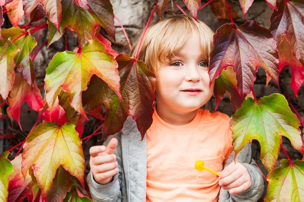 Schattig peuter jongen plezier buitenshuis, verbergen in ivy bladeren — Stockfoto