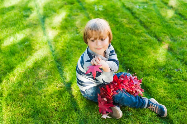 緑の芝生の上に座って、赤いカエデの葉と遊ぶかわいい幼児少年 — ストック写真