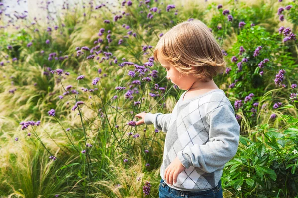 Menino adorável brincando em um jardim, vestindo pulôver cinza — Fotografia de Stock