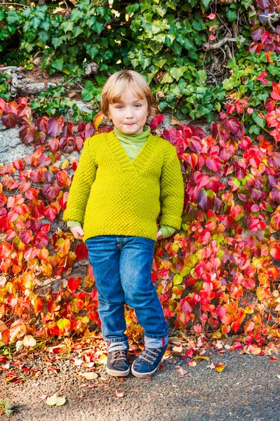 Außenporträt eines entzückenden kleinen Jungen — Stockfoto
