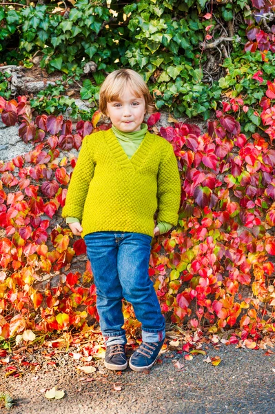 Outdoor portrait of adorable little boy — Stock Photo, Image