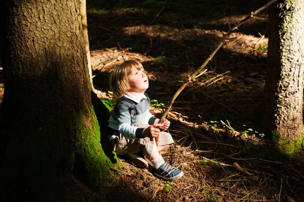天気の良い日にハイキング森の愛らしい幼児少年 — ストック写真
