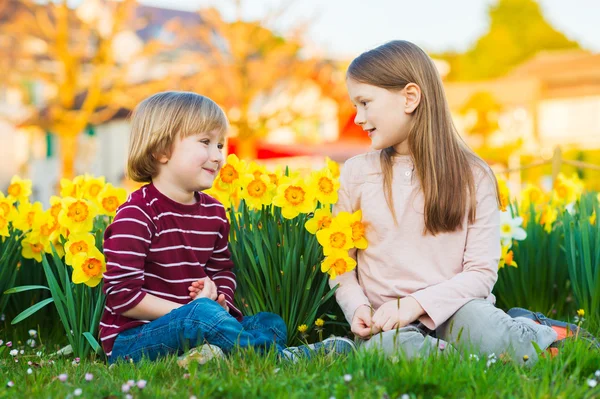 Zwei süße Kinder, kleiner Junge und seine große Schwester, spielen im Park zwischen gelben Narzissenblüten bei Sonnenuntergang — Stockfoto