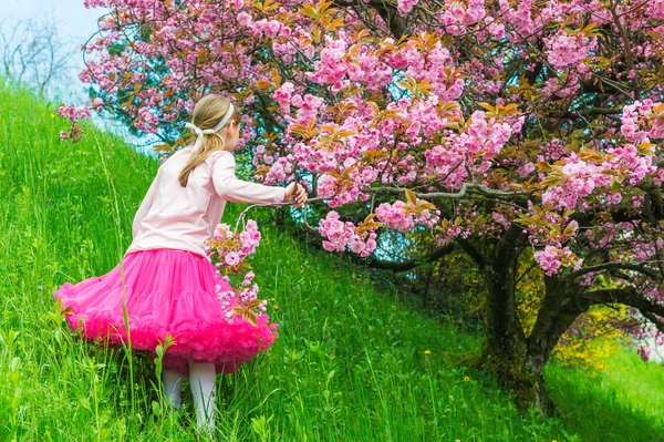 Sweet little girl posing next to a japanese cherry tree in full blossom, wearing bright pink tutu skirt, back view — Stock Photo, Image