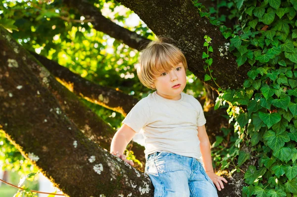 Retrato al aire libre de un lindo niño sentado en un árbol —  Fotos de Stock