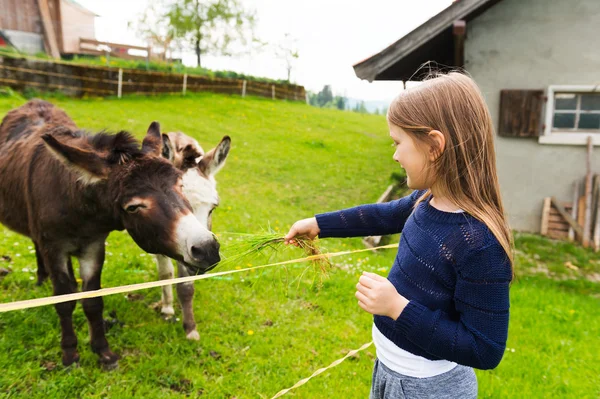 Sød lille pige feeds æsel i en gård - Stock-foto