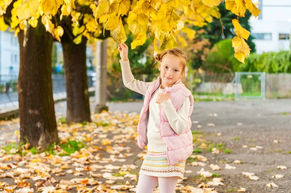 Autumn portrait of adorable little girl, wearing pink waistcoat and warm knitted skirt — Stock fotografie