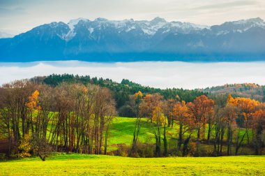 Sonbahar ağaçlar ve Alpler ile kırsal güzel manzara